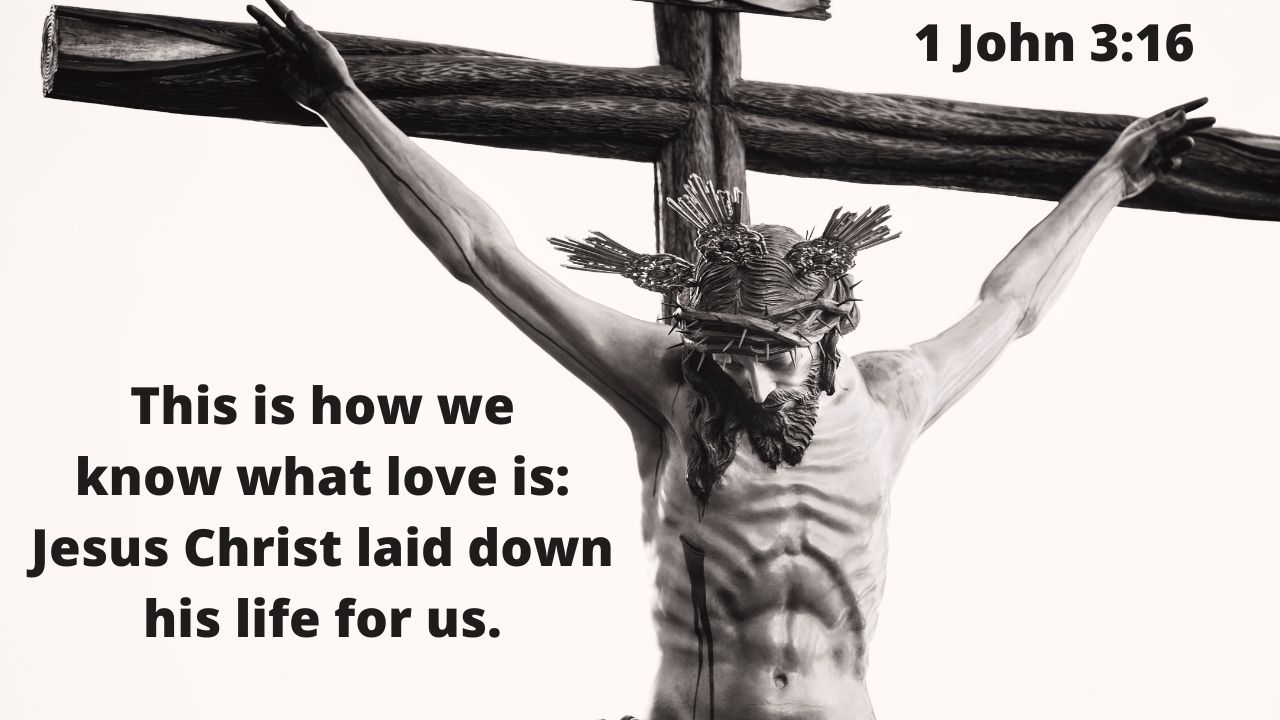 Bible Verse of the Day 1 John 3:16