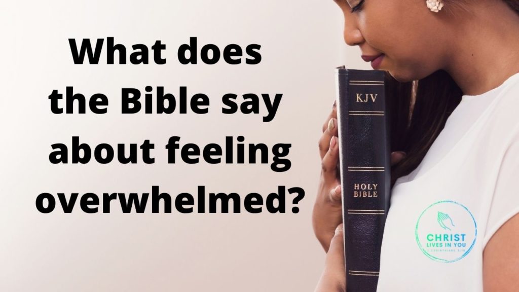 A woman holds the King James Version of the Bible close to her heart, to the left, the question: What does the Bible say about feeling overwhelmed?